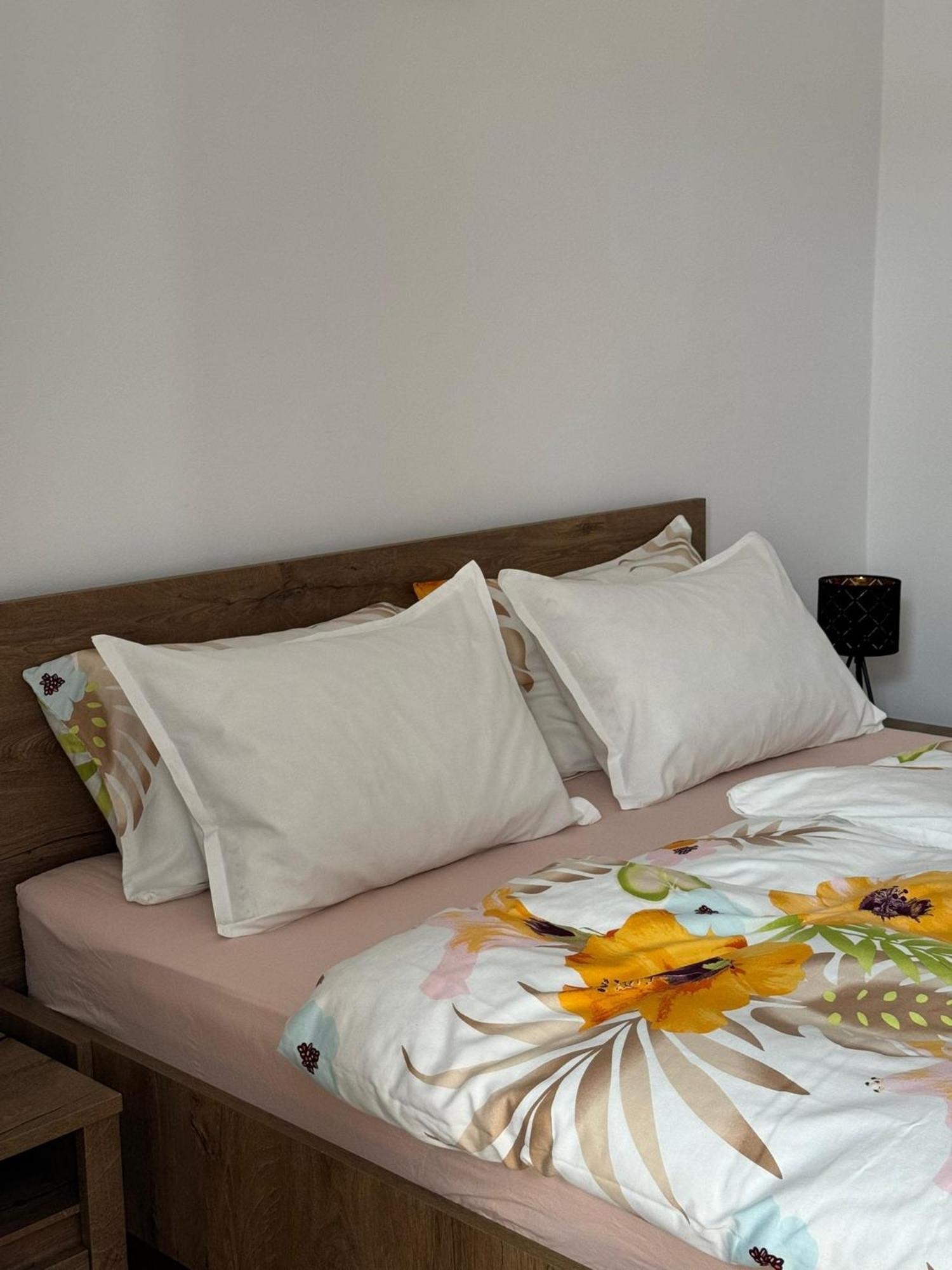 Apartment Victoria Timişoara